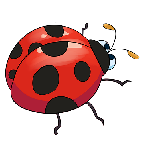 JARDINS ET PAYSAGES Paysagiste Rennes Ladybug2